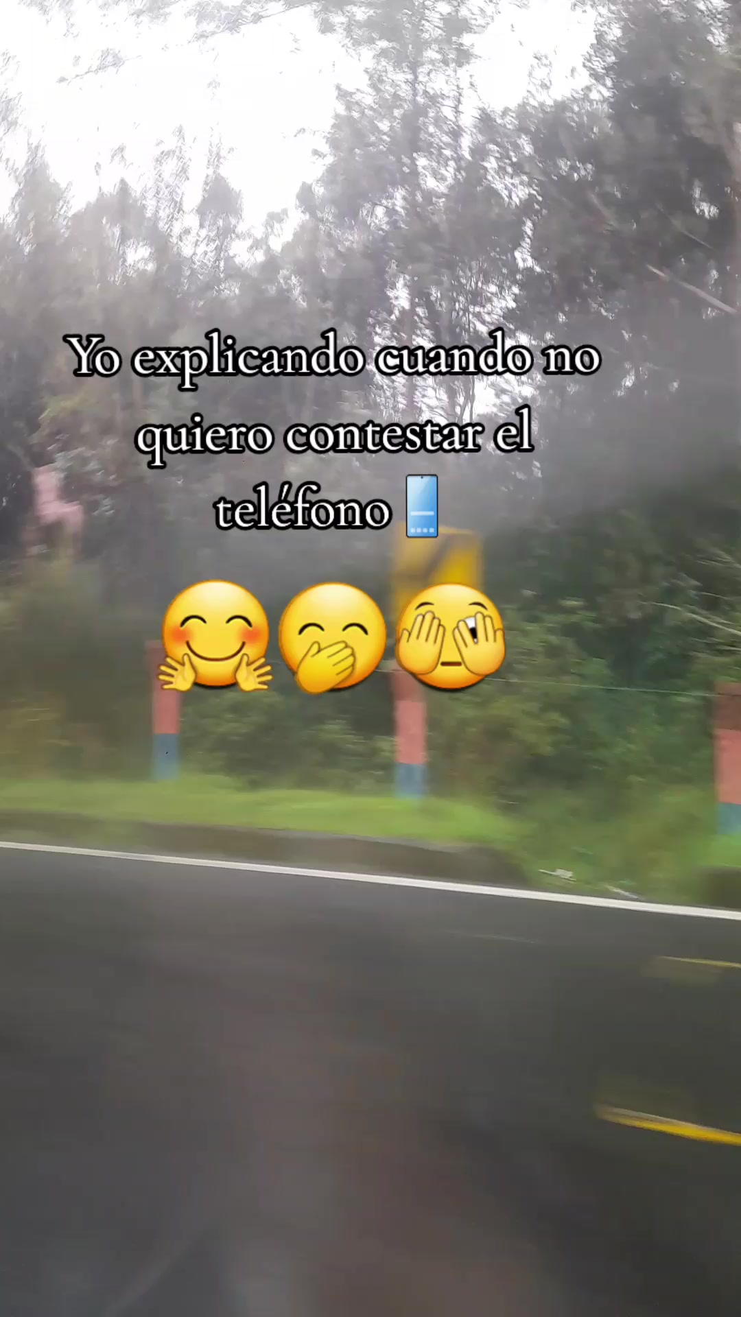 @Elyp1981