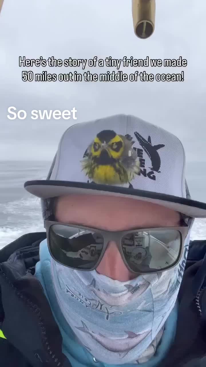 @account 17