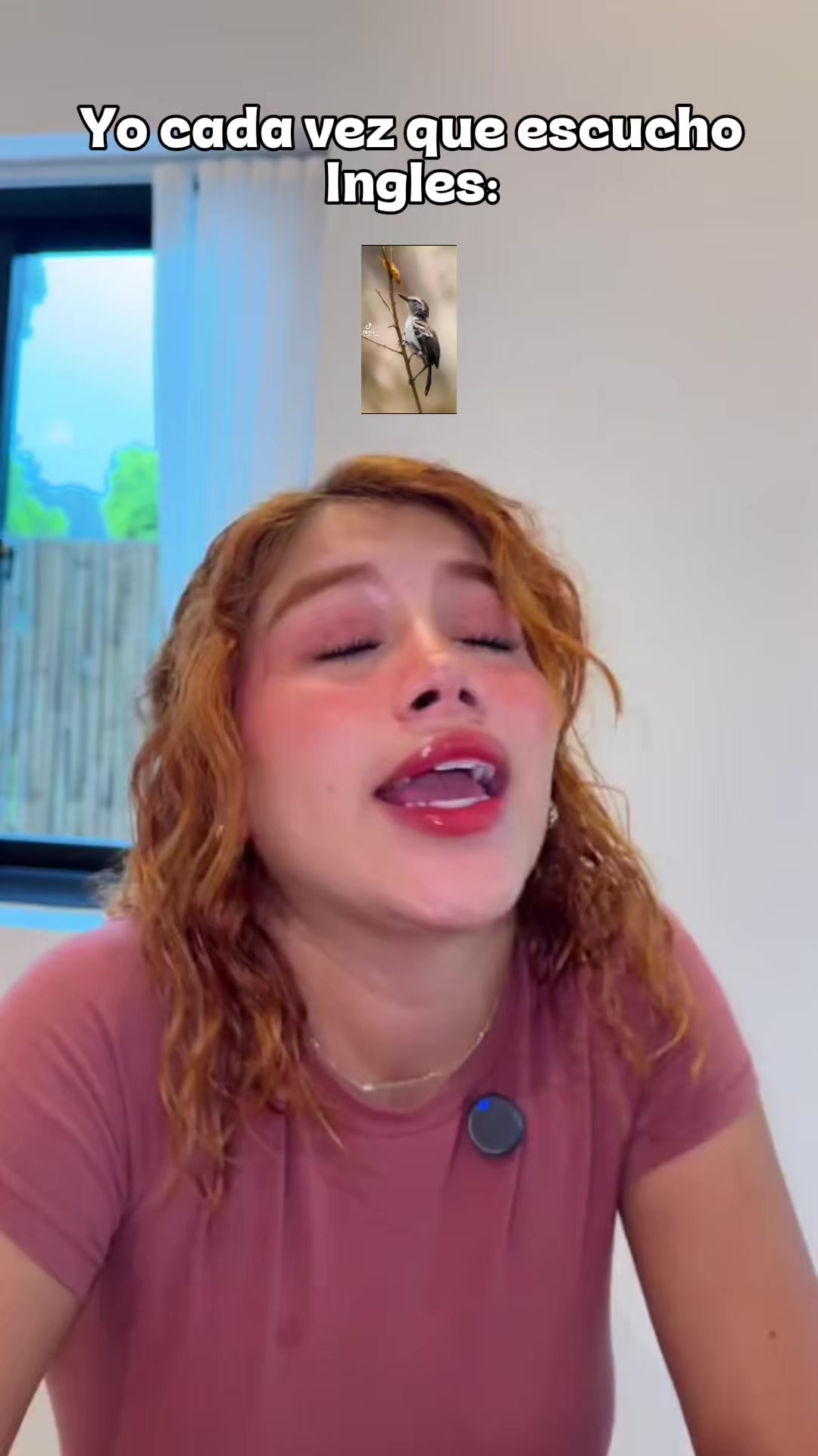@caradecristian🦤👃🏼