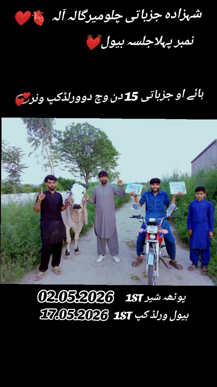@آصف۔گجر۔چلومیرگالہ🍁