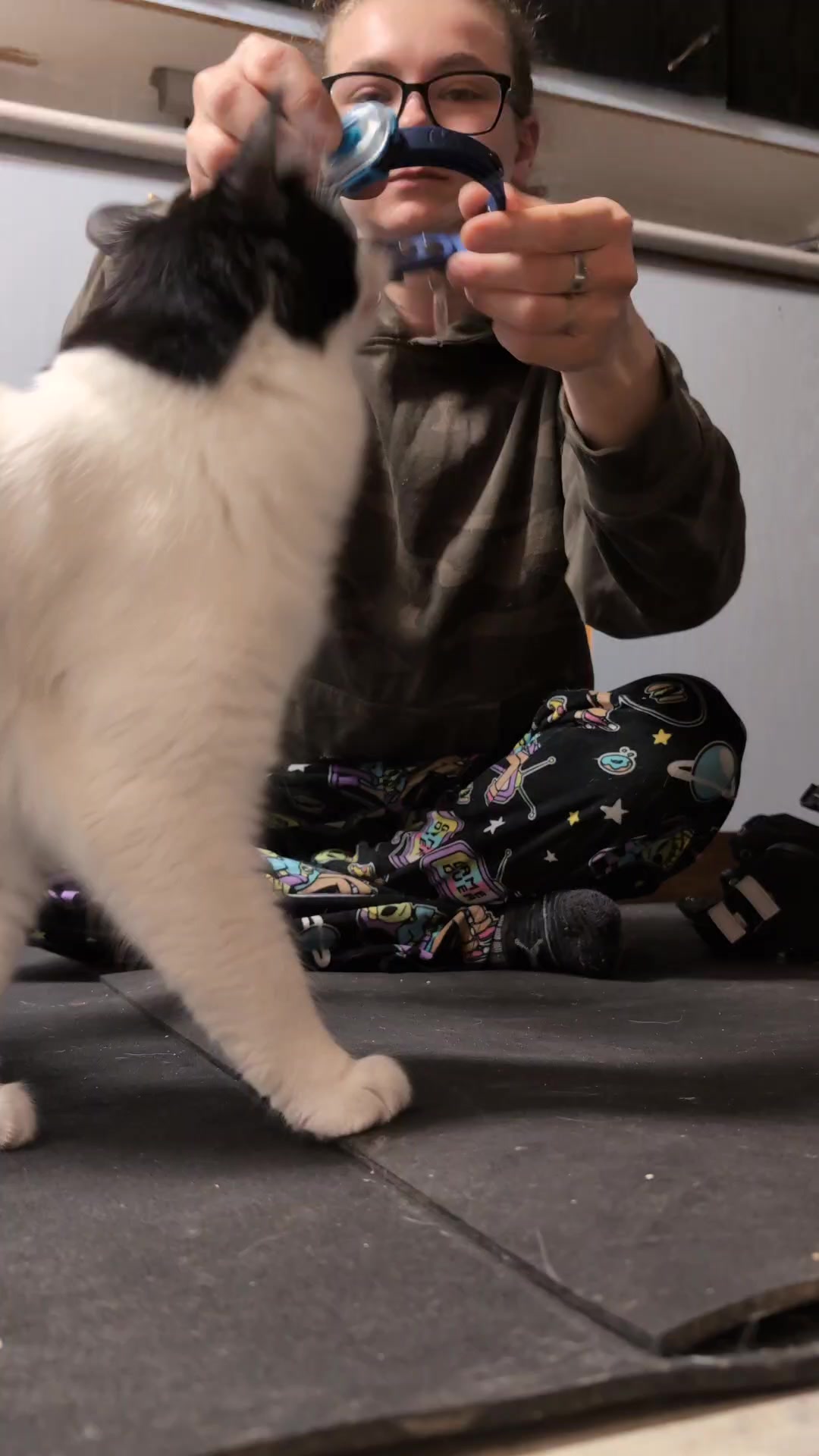 @Raw Fed Kitties 😻
