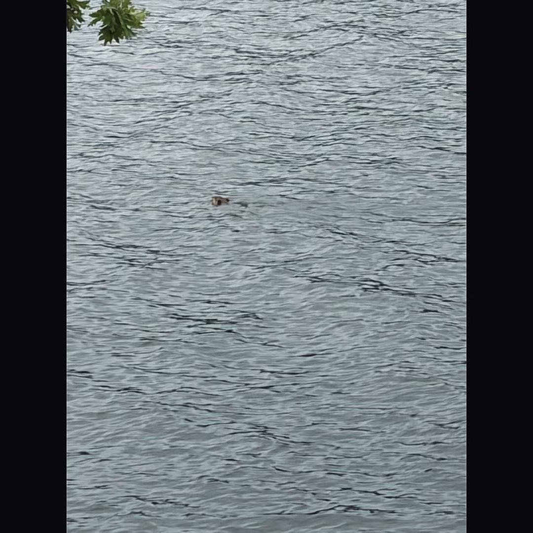 @Bayou Outdoor Supercenter