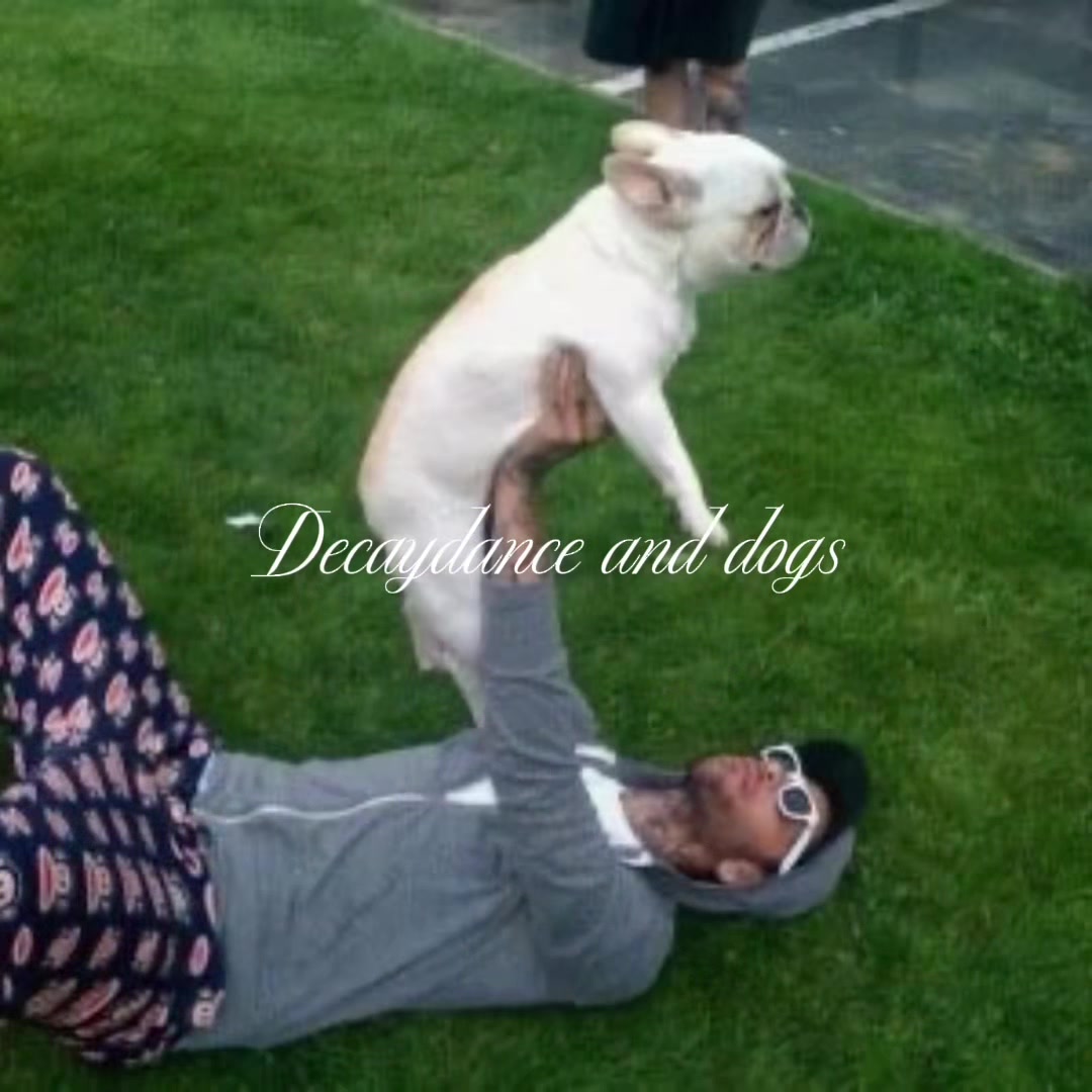 @puppy purge โ•โ๐ง๐พ