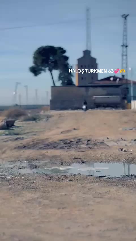 @aras_beg_63