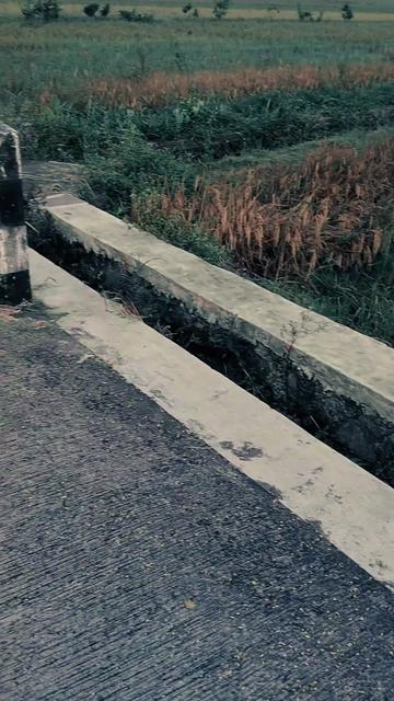 @moh mumet😎