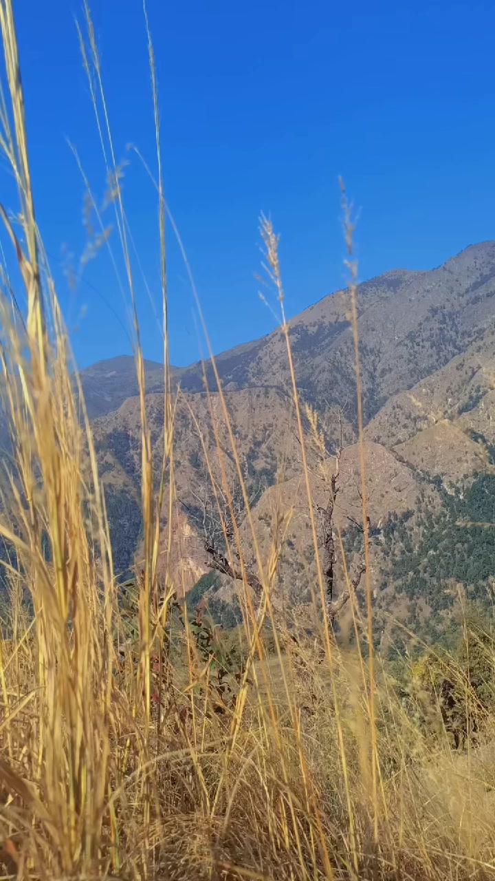 @Chi_रा_Nजिबी.रेश्मी MaगR.