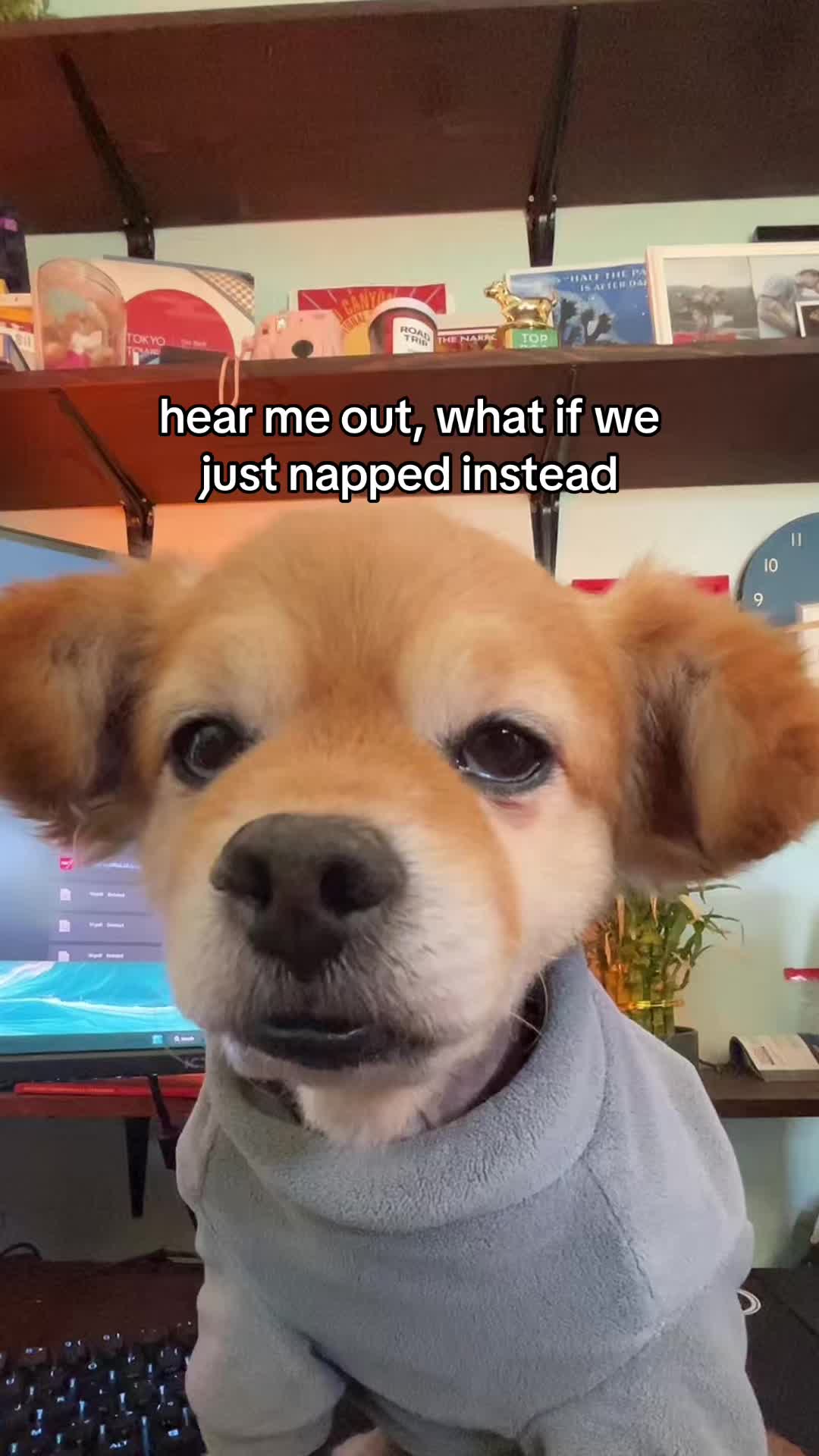 @kingpep