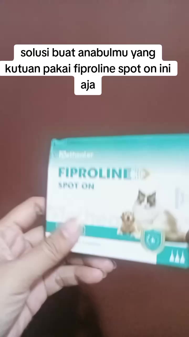 @Mom_arsyy