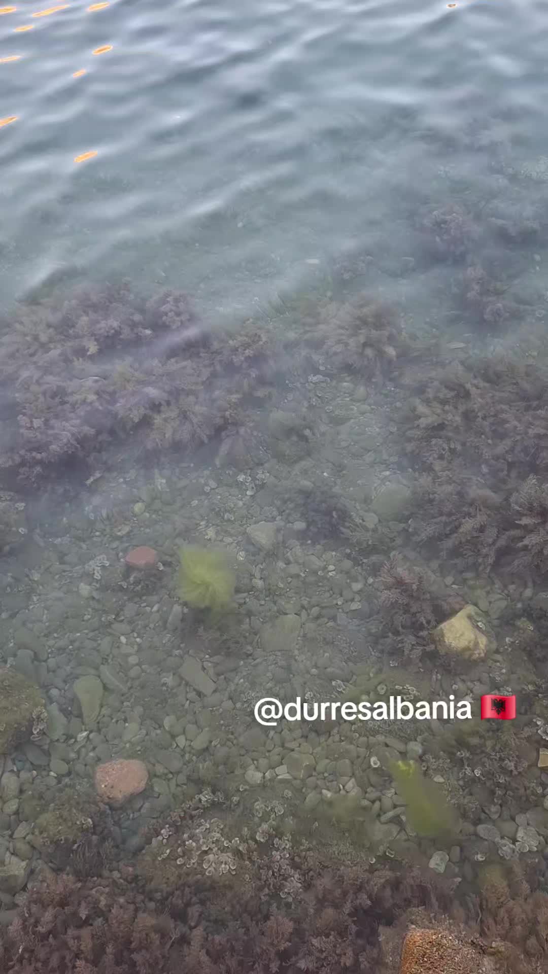@durresalbania🇦🇱