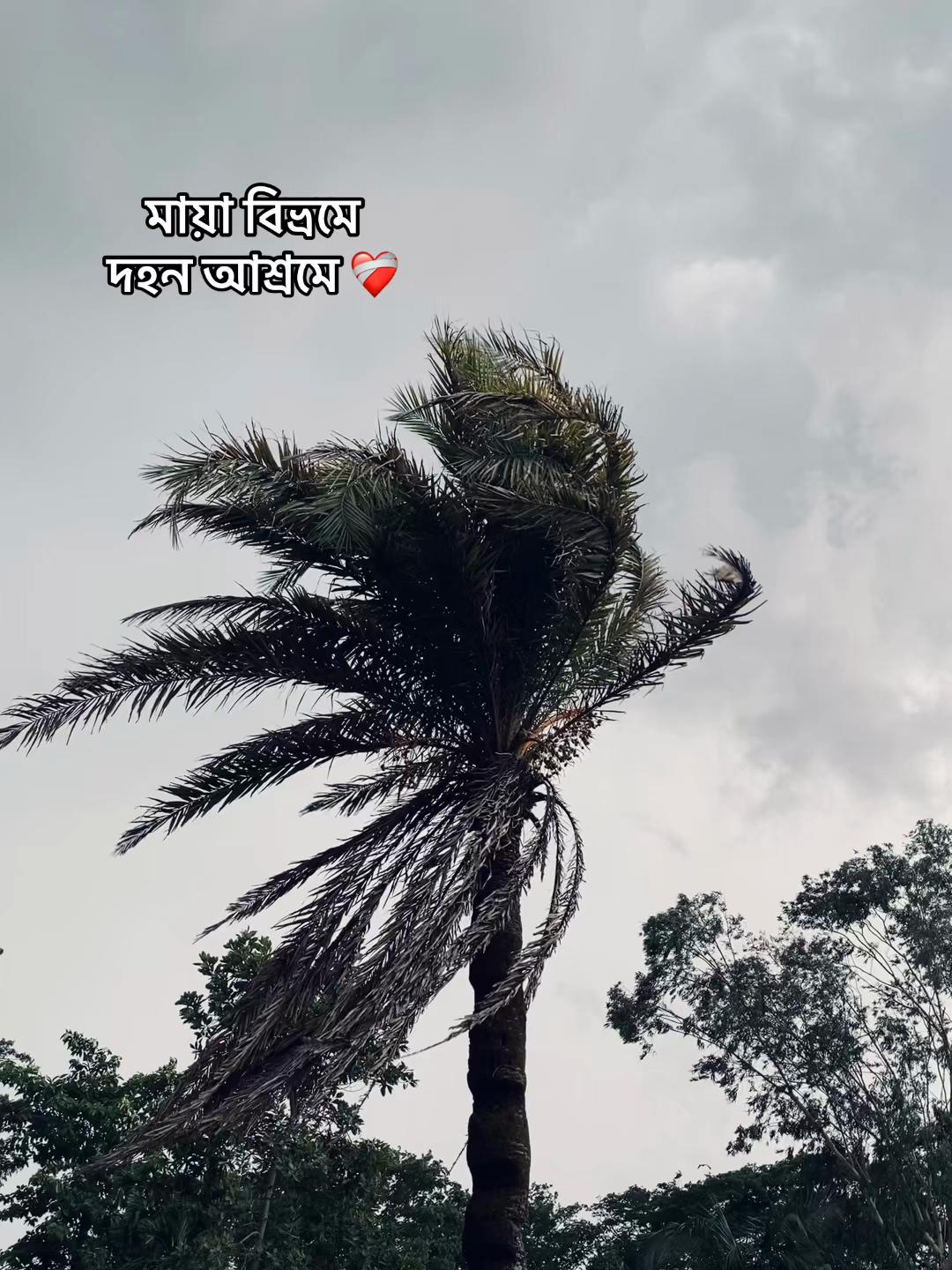 @_নিখোঁজ_