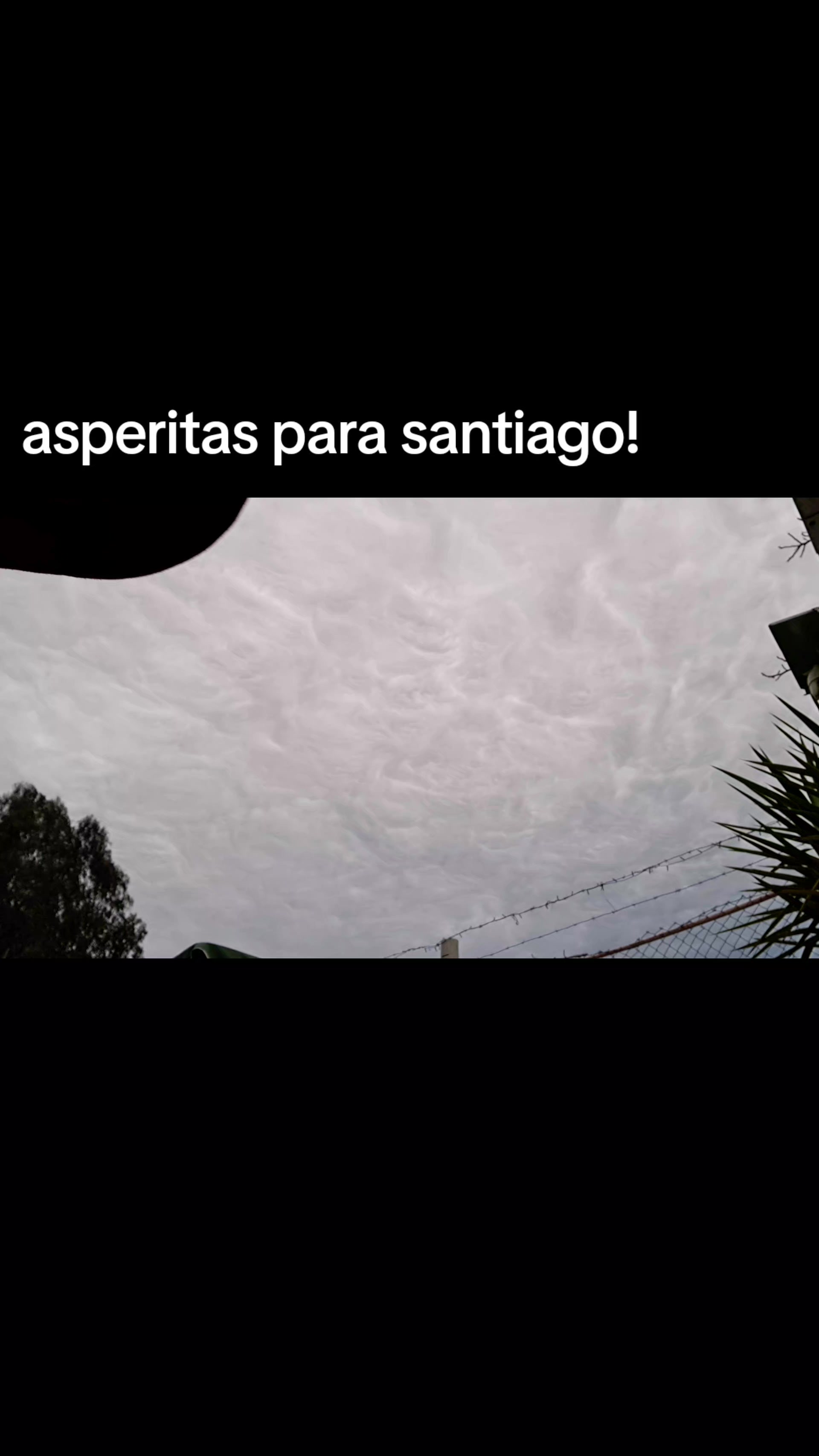@tomi
