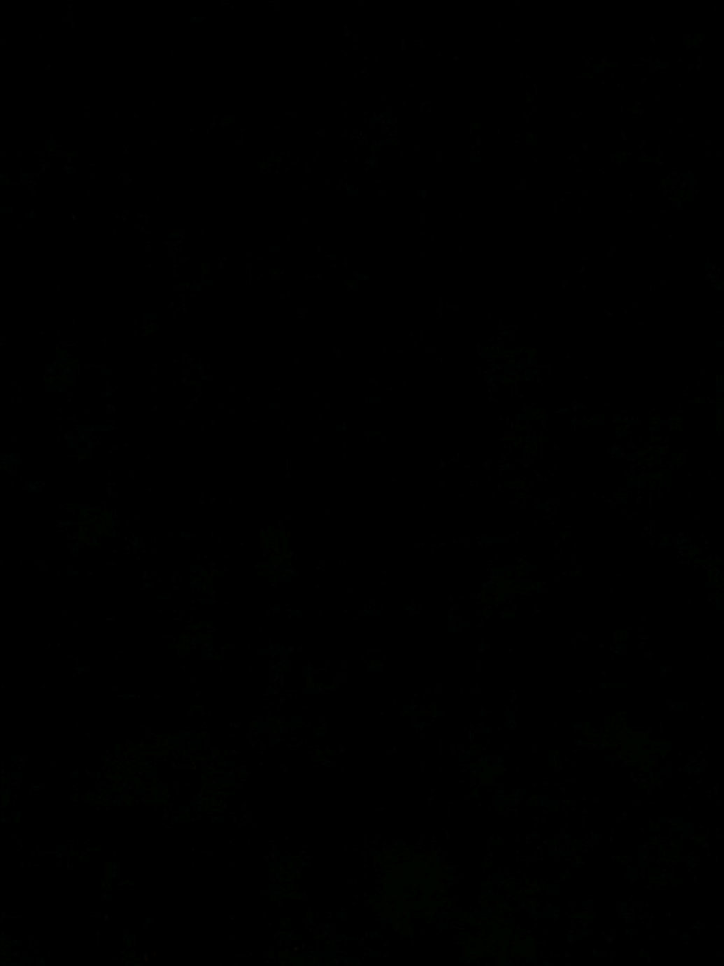 @⚡️