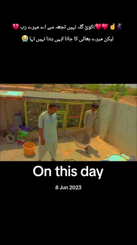 @Aleehaider990