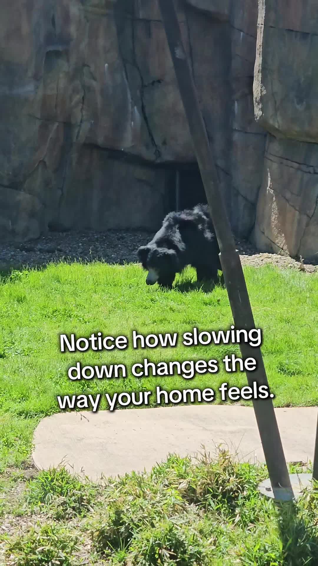 @Time.414