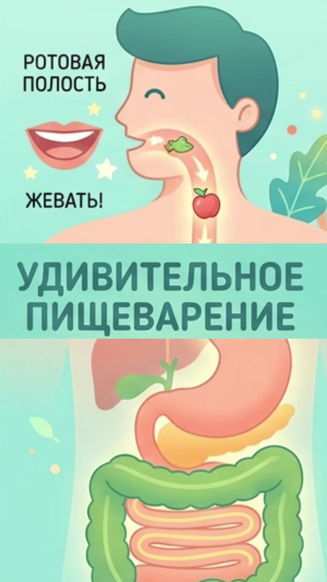 @Райхан
