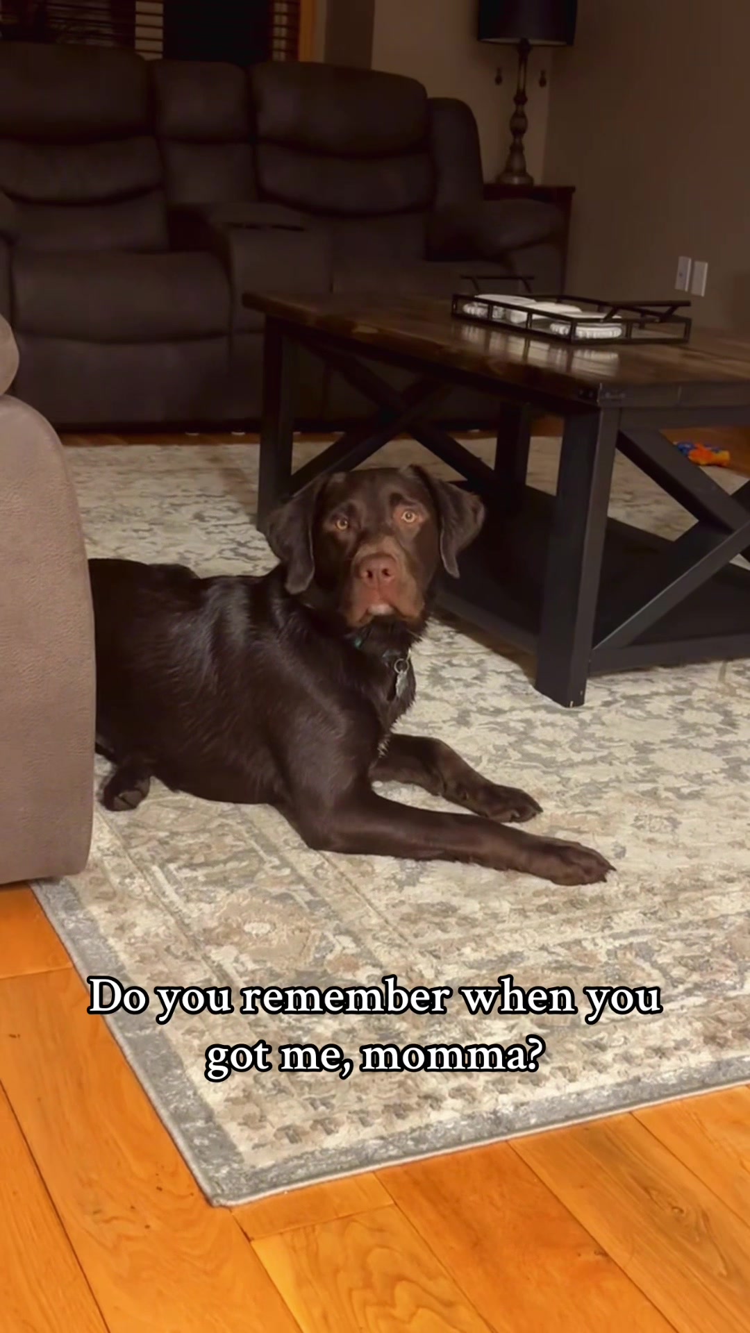 @Callie Rae