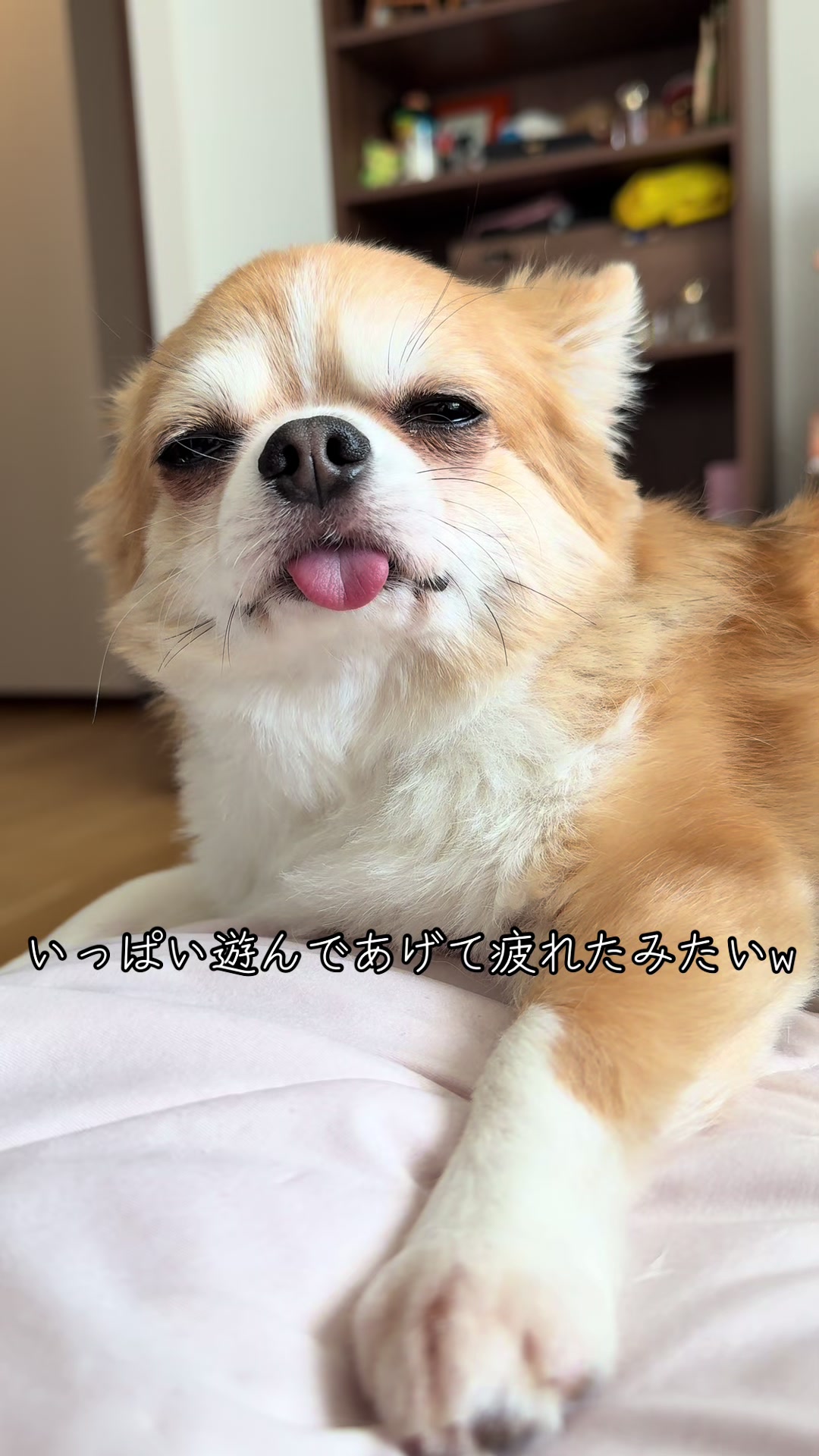 @心太