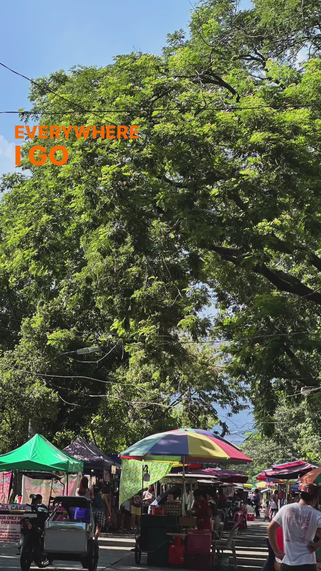 @sunlitsanctuary