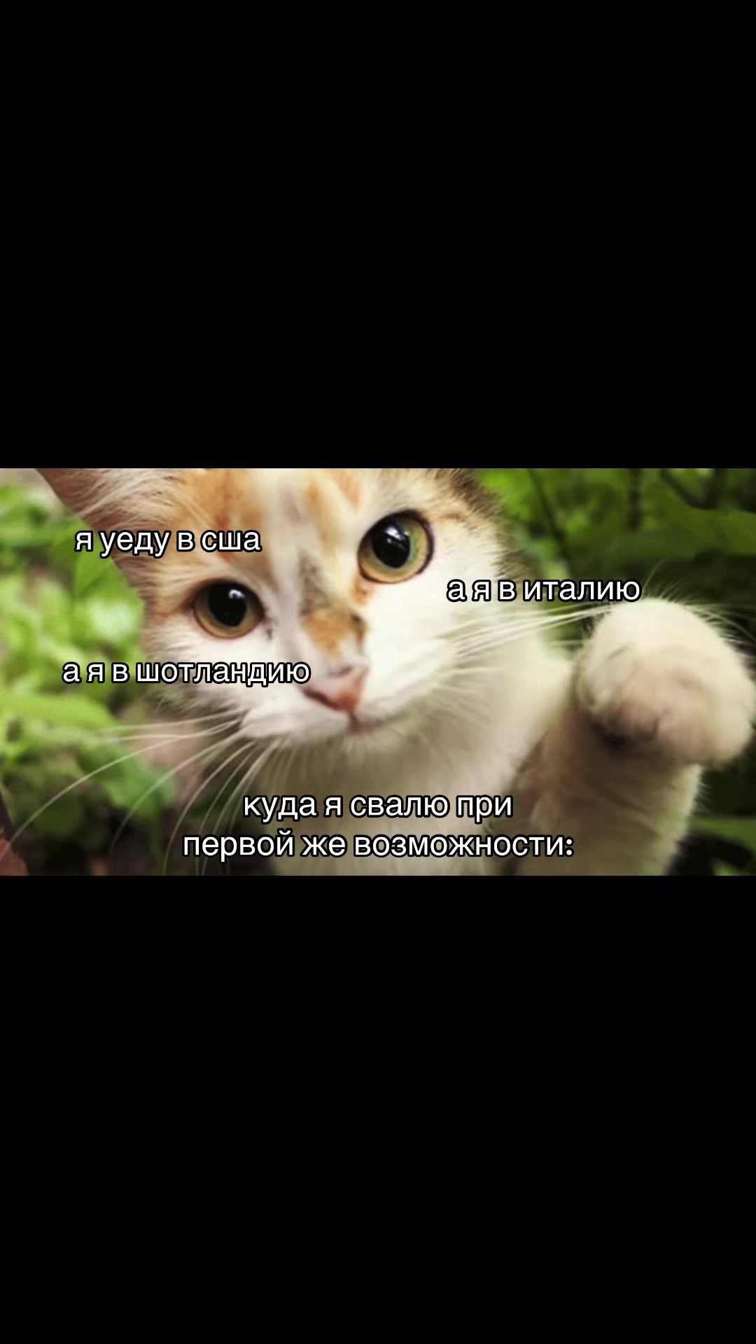 @стюардесса саэ ﹅