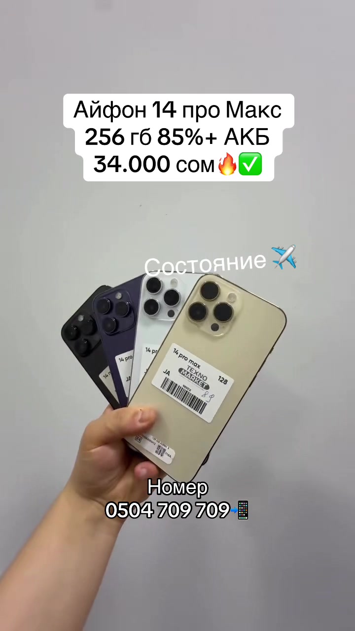 @0504 709 709📲