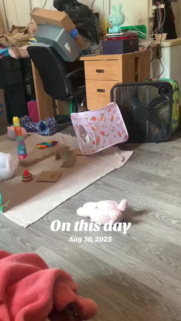 @Mrdivaandgizmoandfriends