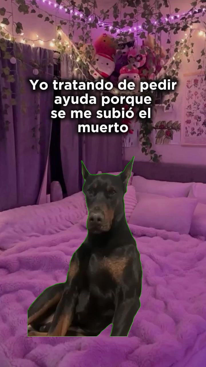 @Plantilla verde (memes)