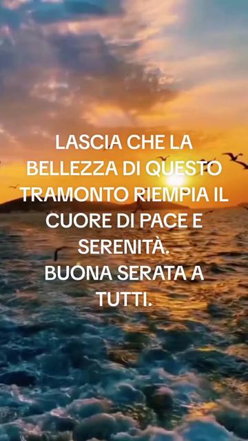@dino606389