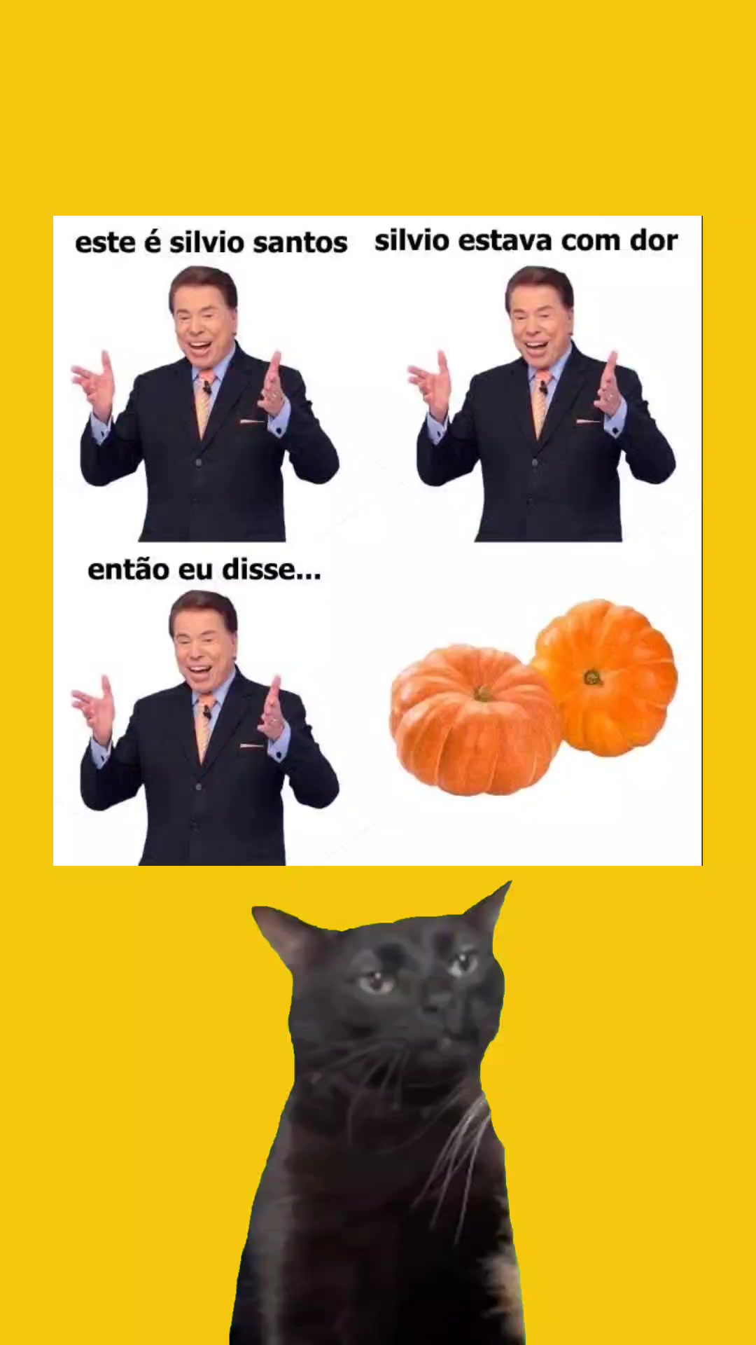 @Zé Zuero