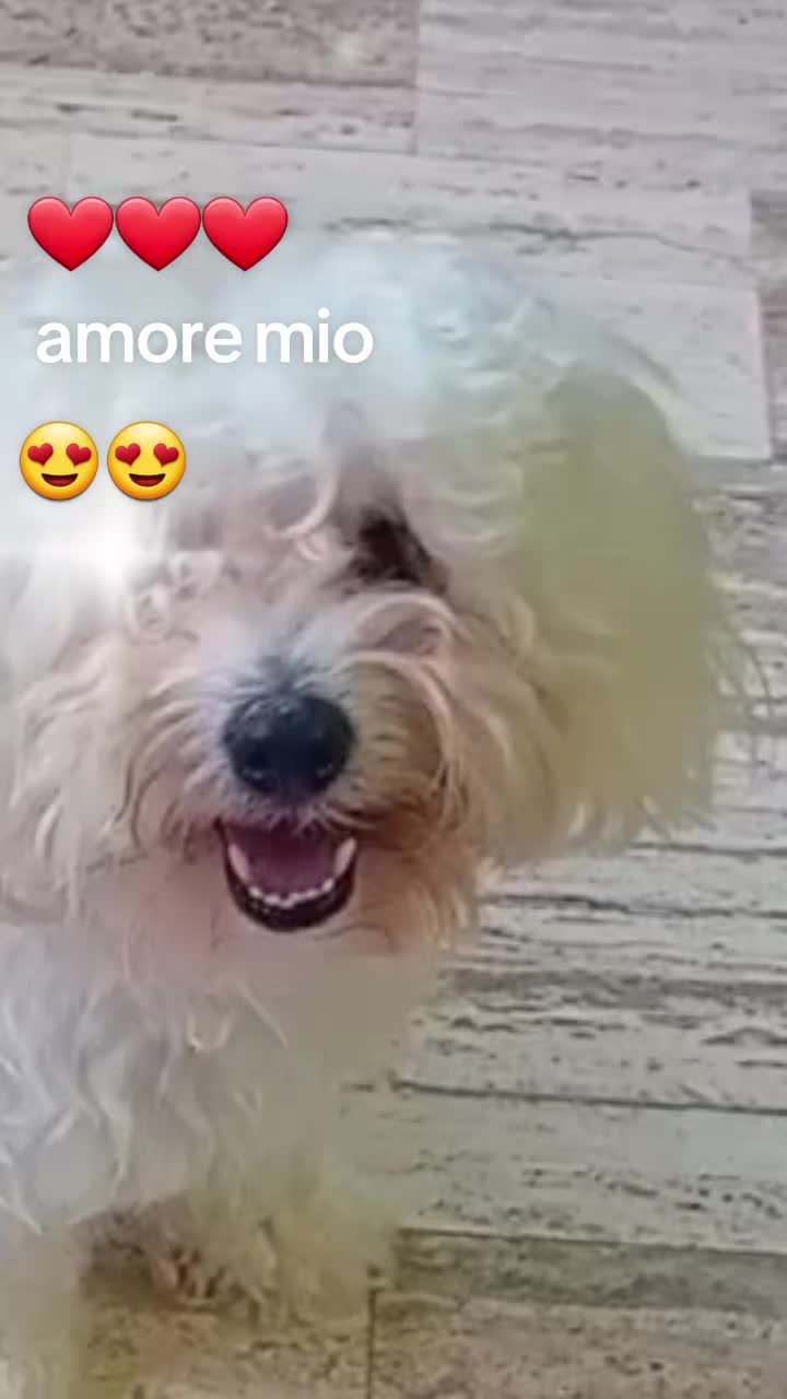 @Maria