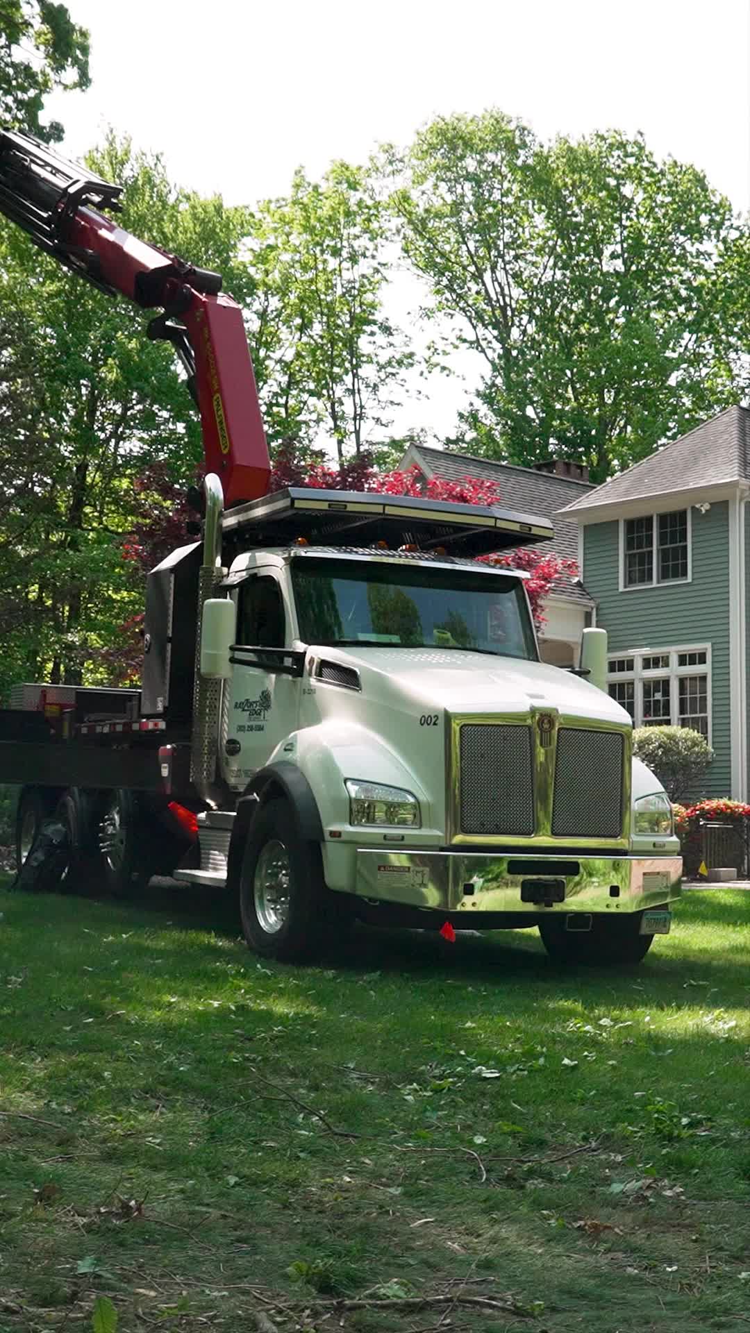 @DistinctiveTreeCare