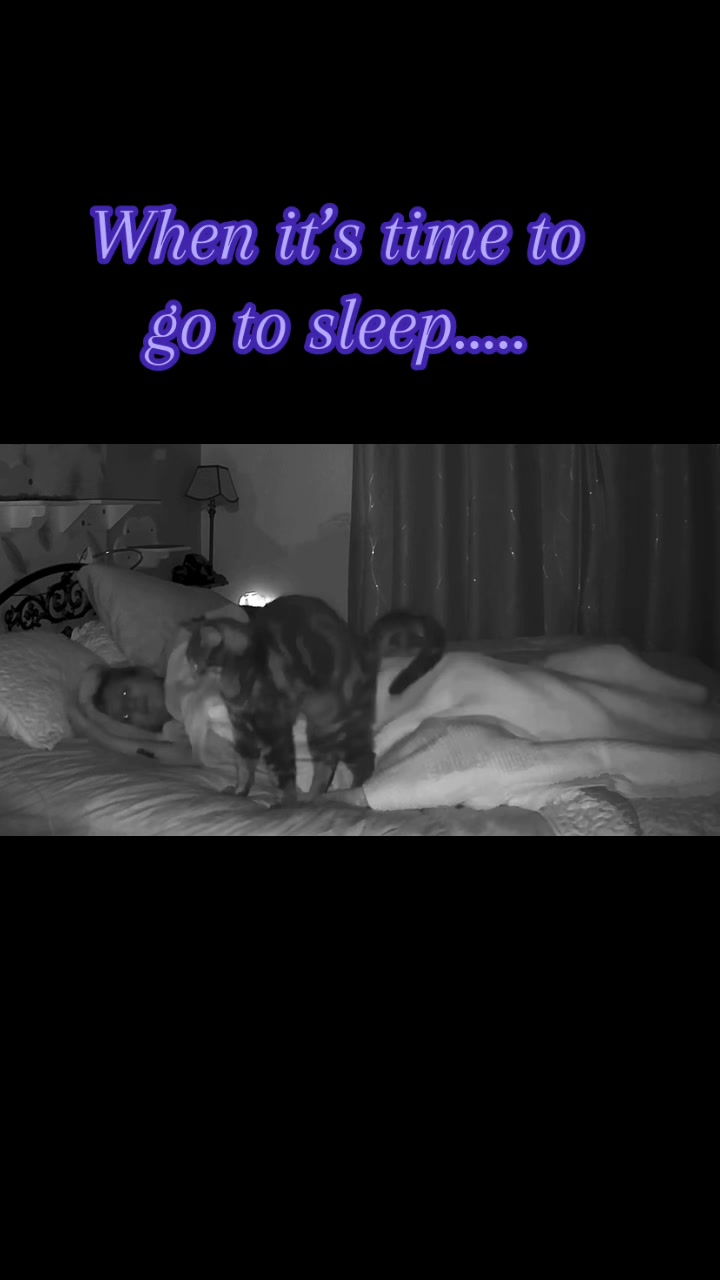 @Romina.cuddle.catclub