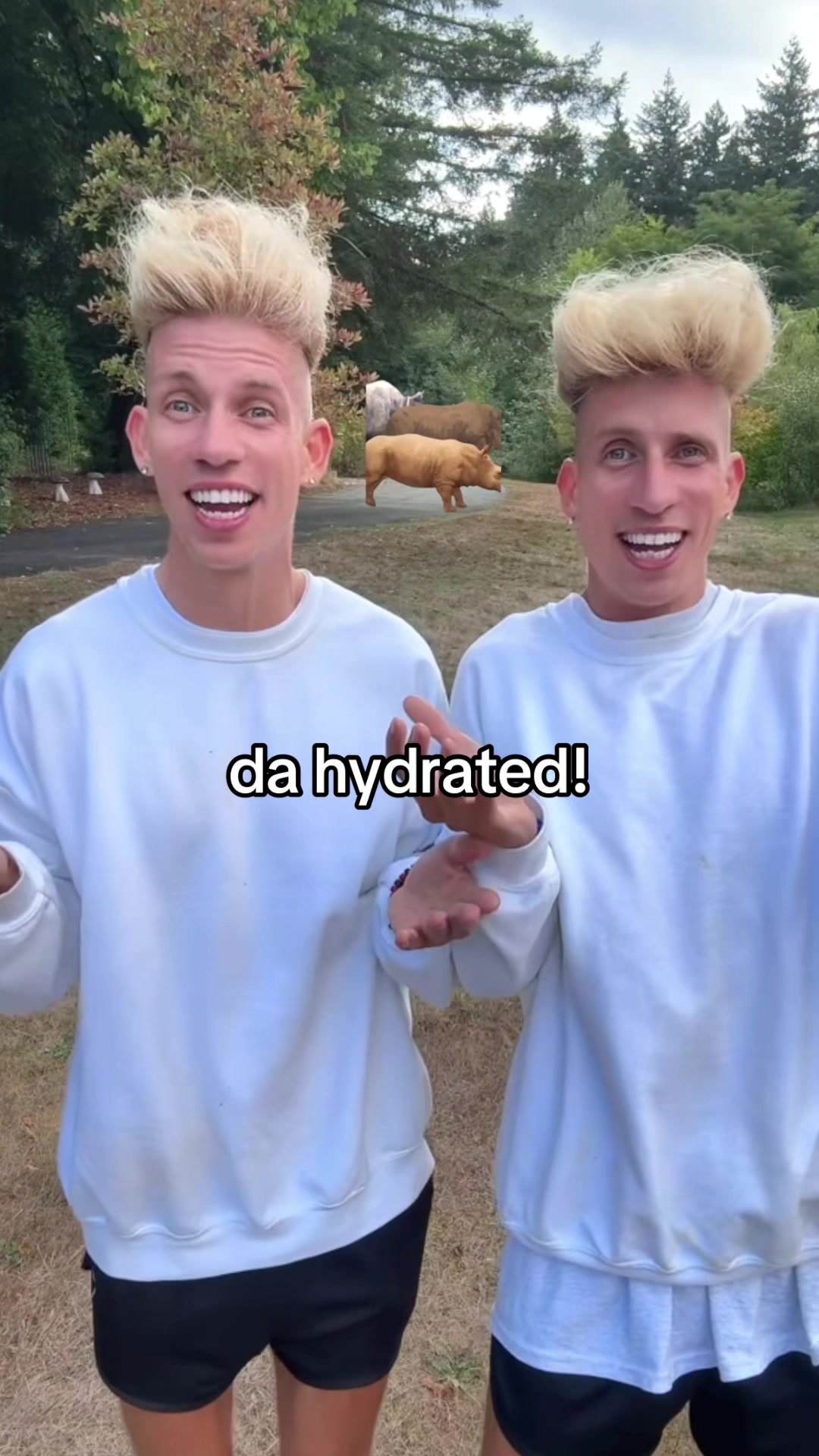 @vorostwins