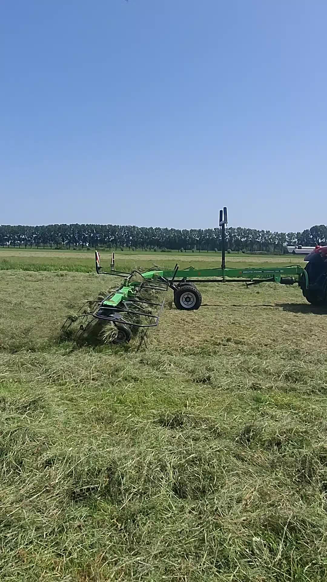 @schapenfokkerij l.kammeraad