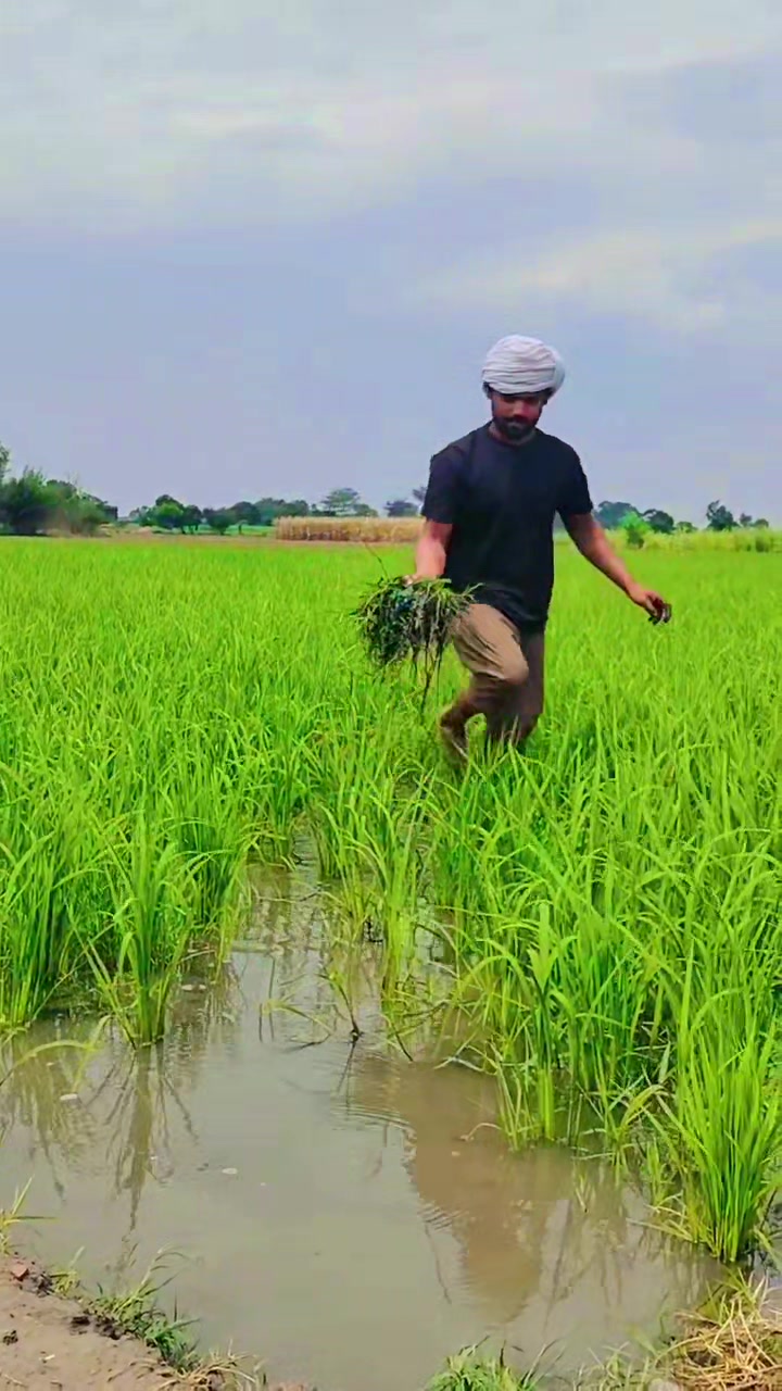 @Mr Chandu Bhai 🦅🤞🦁