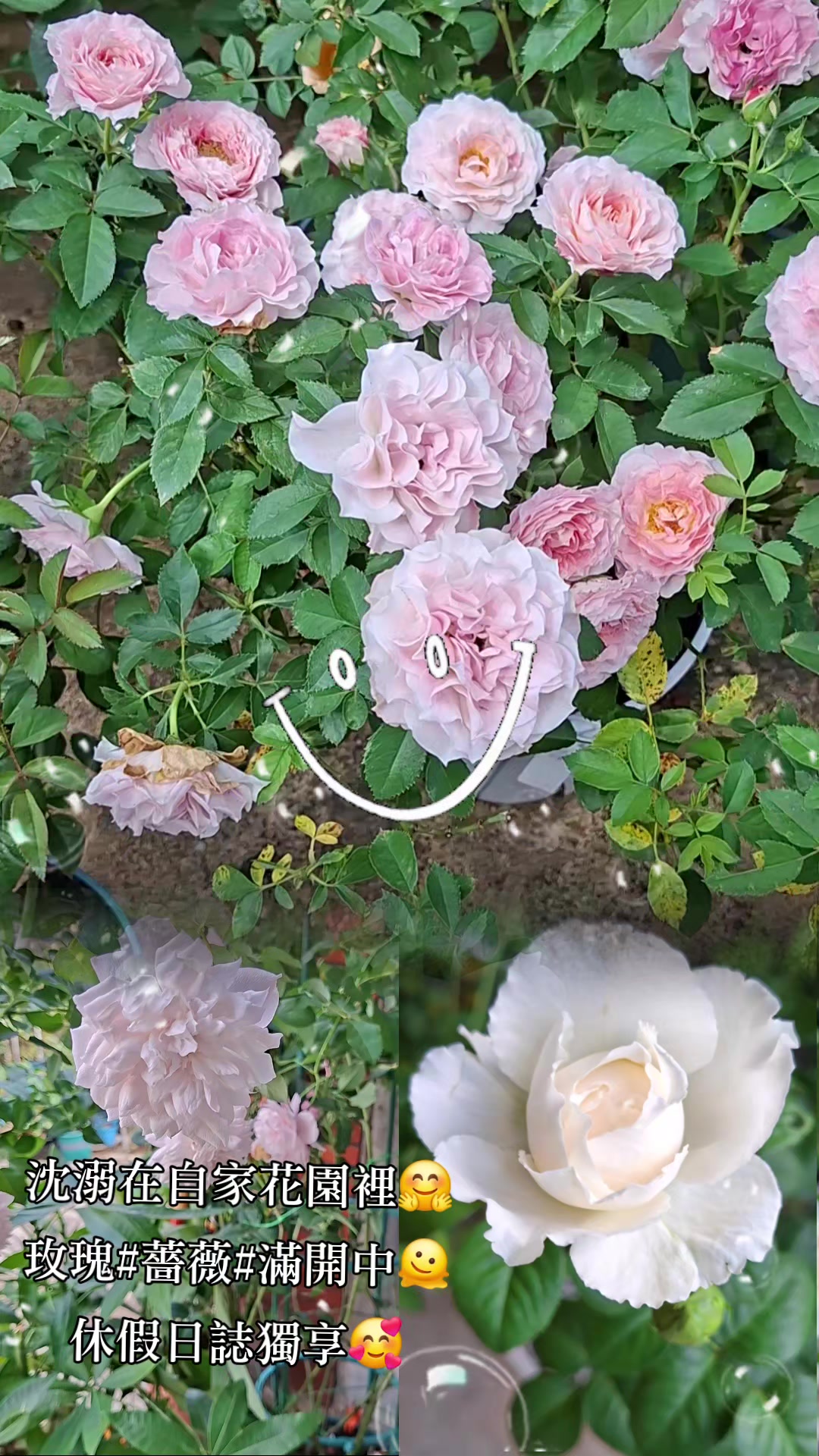 @霸氣女王