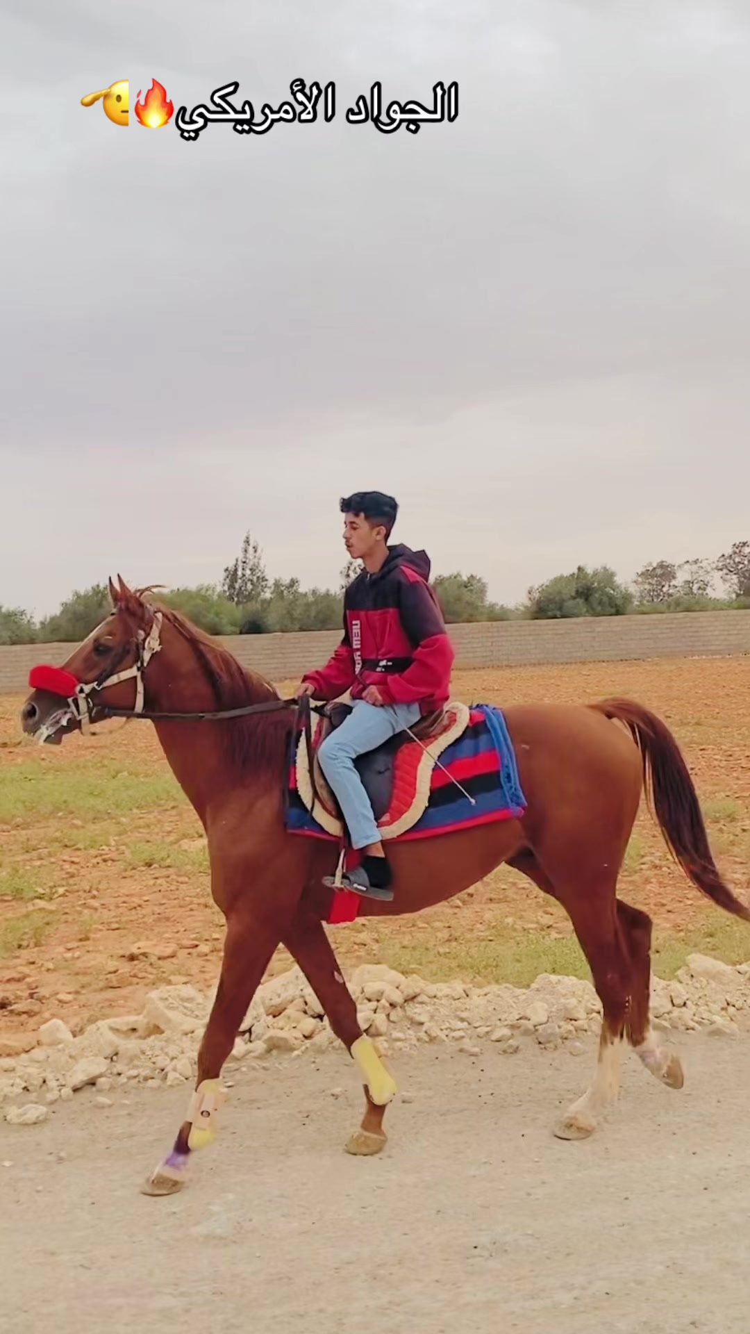 @عزو المصراتي🔥