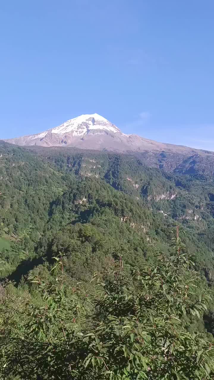 @martinmmm777