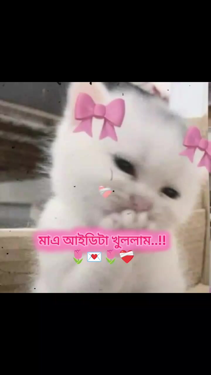 @—͞ 𝐍𝐮𝐬𝐫𝐚𝐭 ᭡፝֟ ִֶ🕊࿐