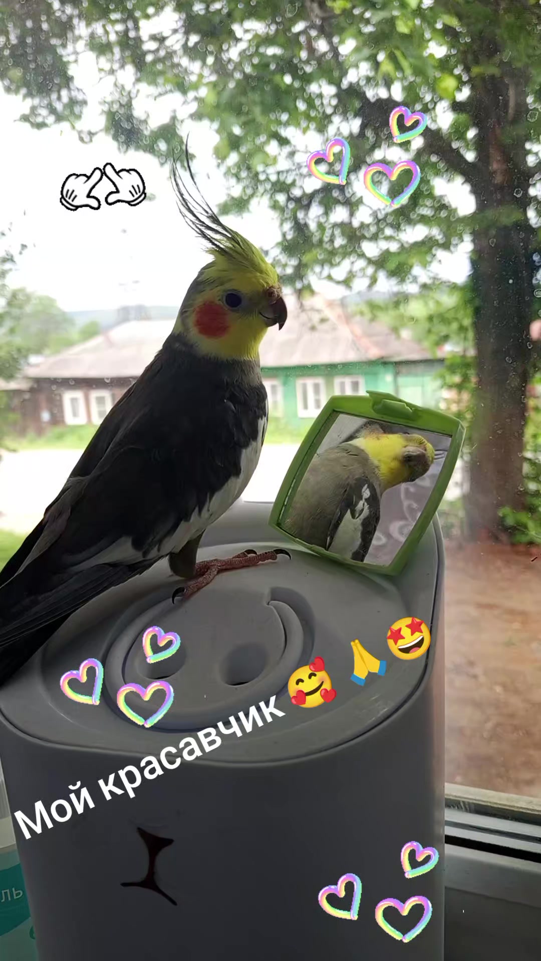 @Натали 🥰🥰🥰🥰☑️☑️☑️