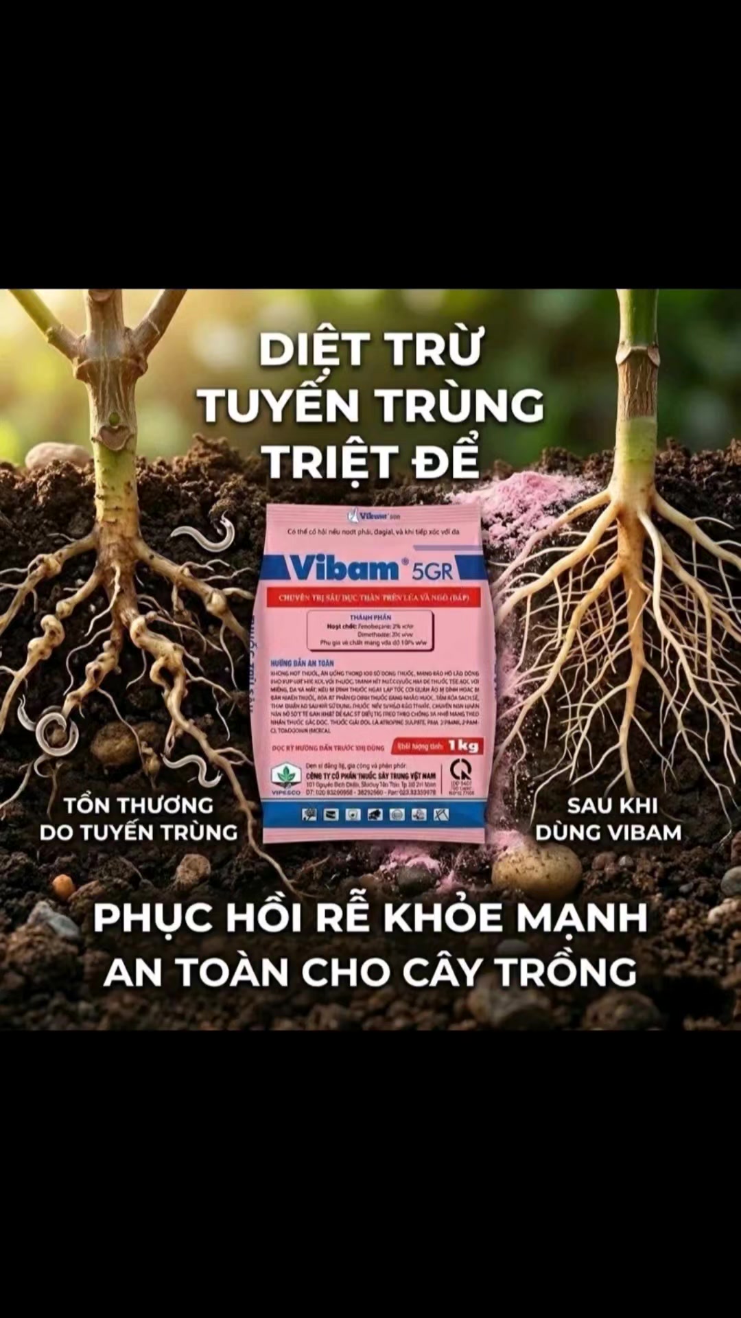 @LUONG THI MAI MAI