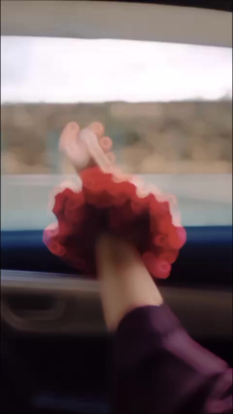 @࿐℘ґⓐηкṽḯⅾℯøṧ࿐