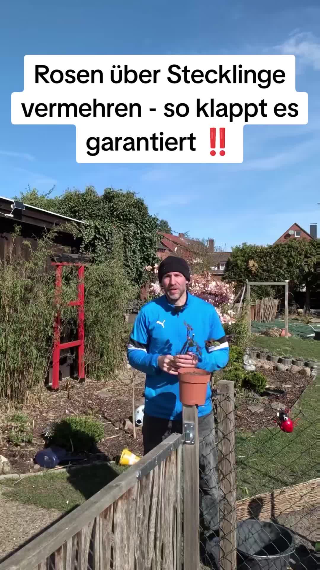 @the_handyman81
