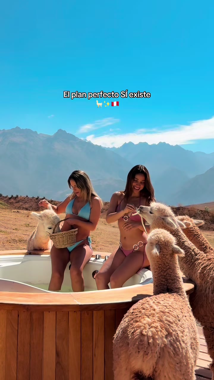 @Ximena Palomino
