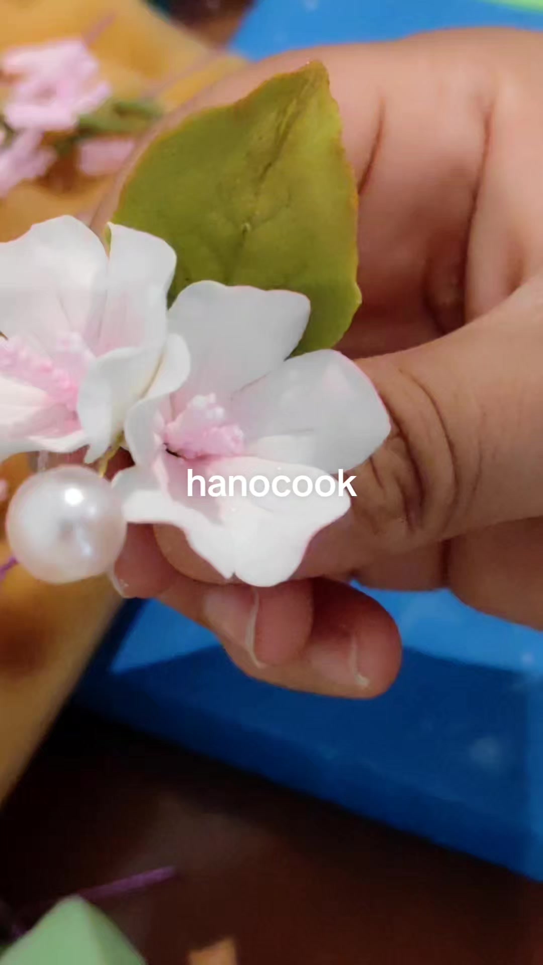 @hanocook