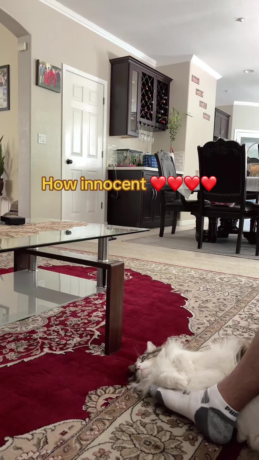 @sabita baniya