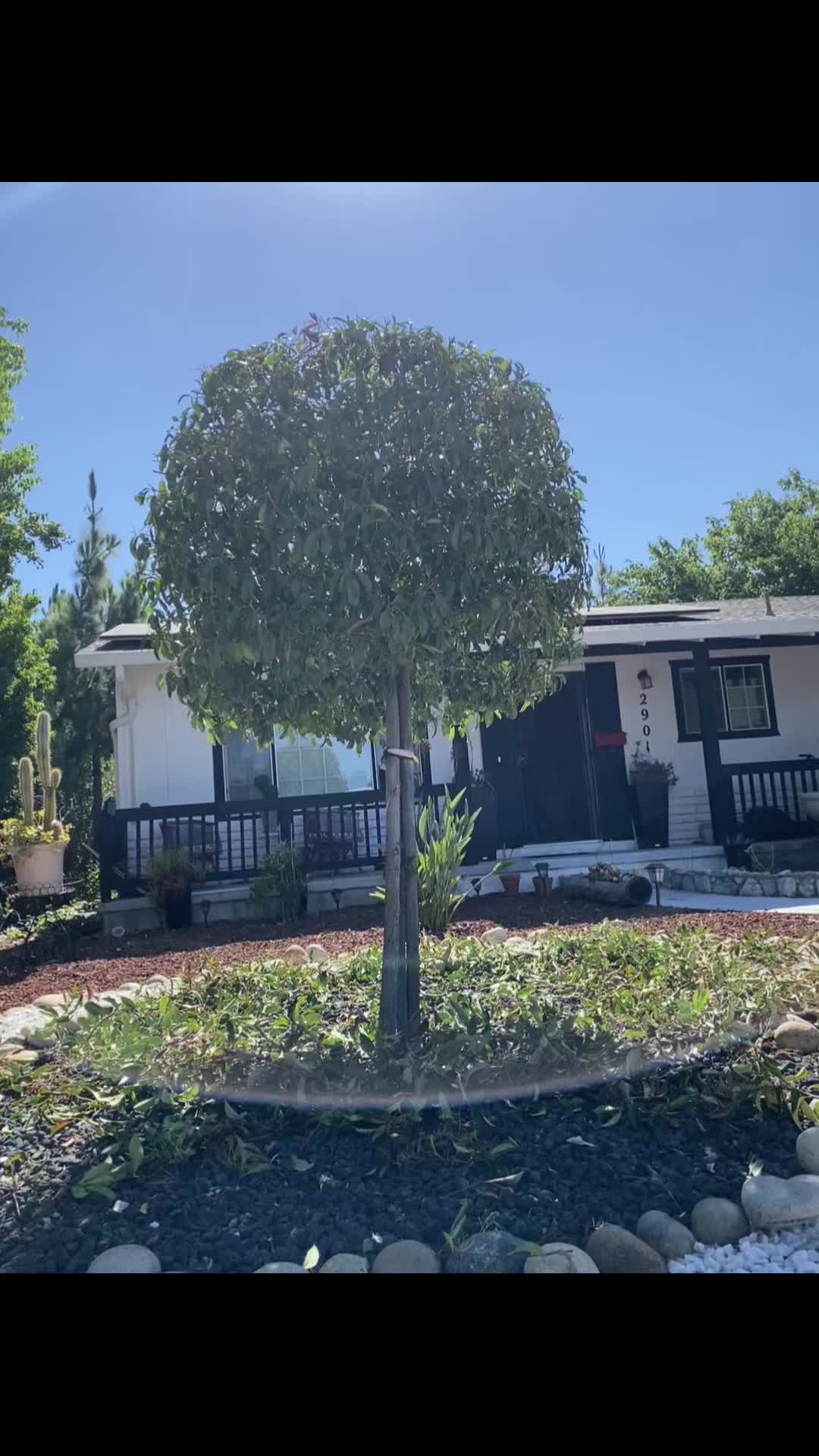 @Leonel Cortez