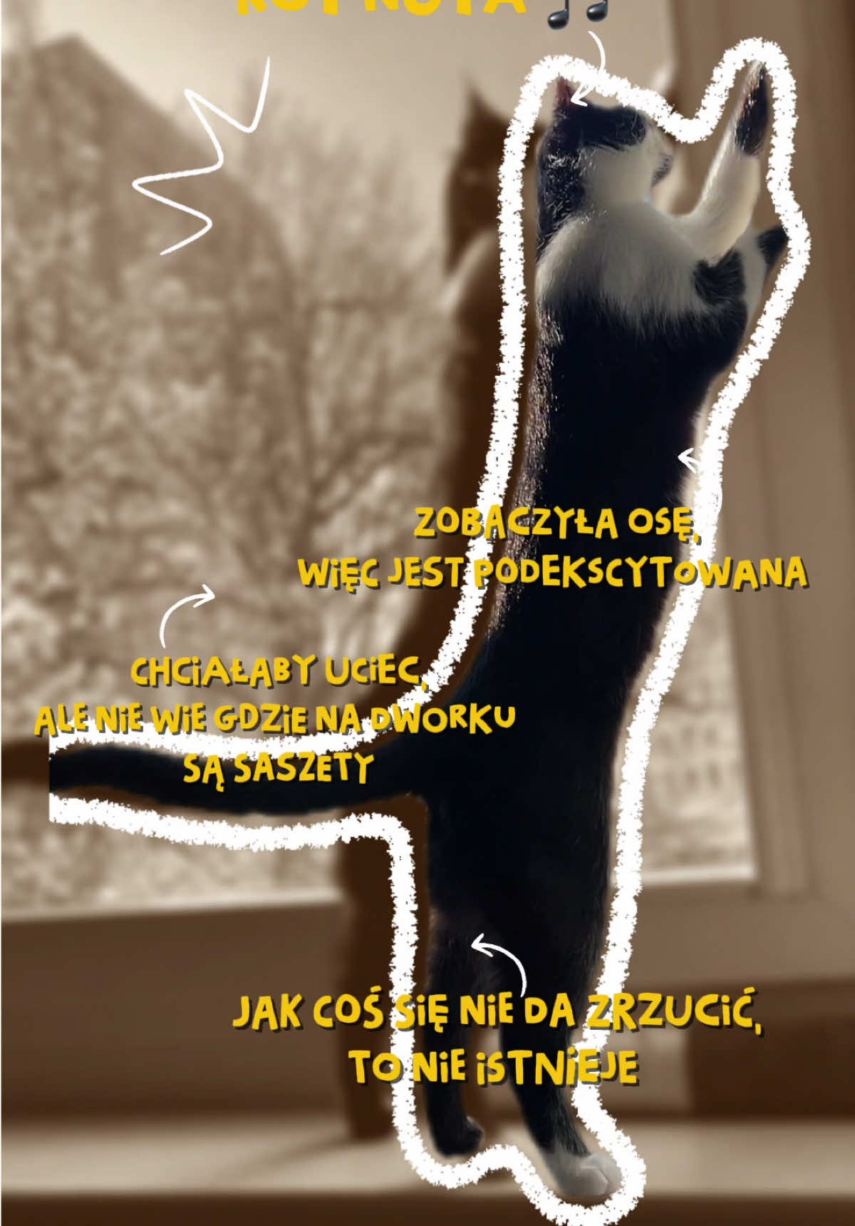 @ASIA 🐈&zwj;⬛ ig: asia_luczkowska