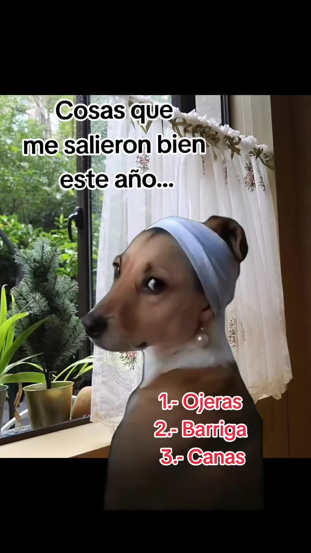 @V1V15 sanchez