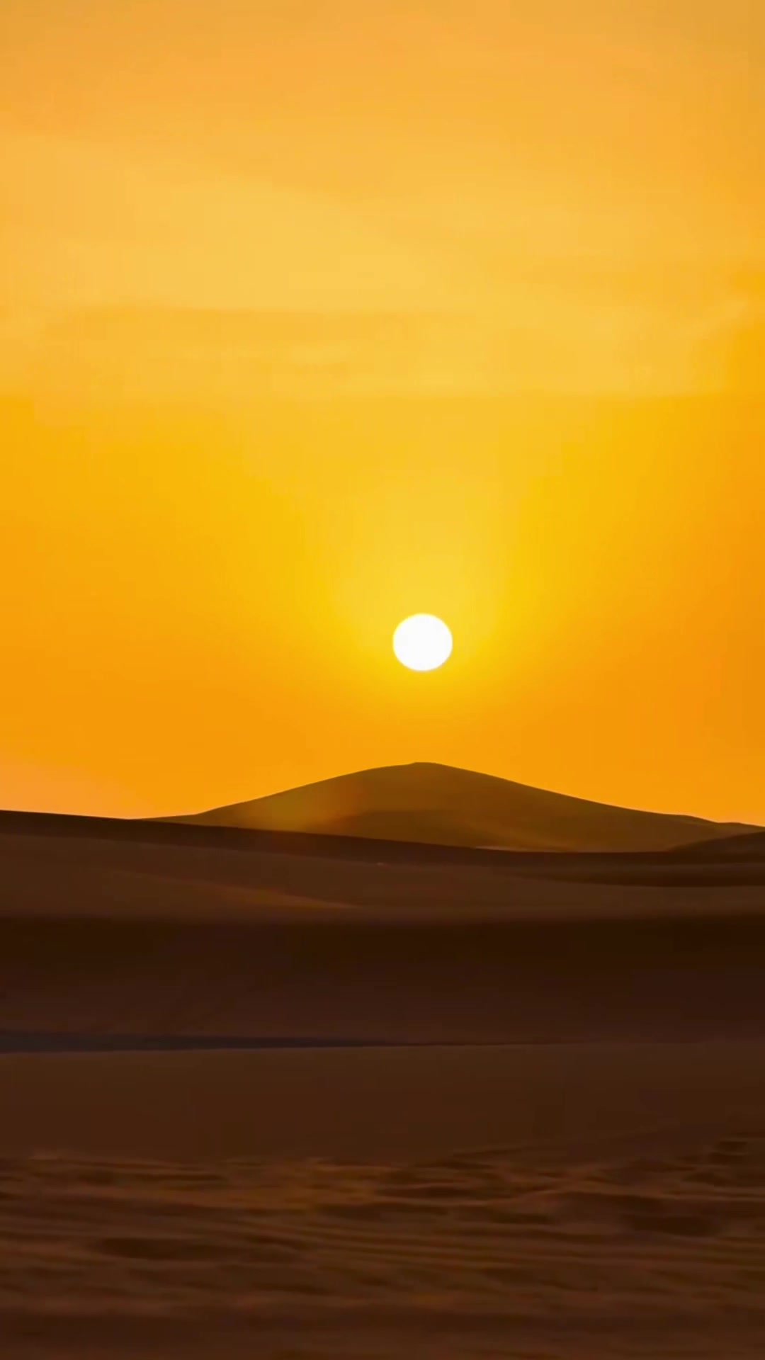 @Merzouga Globe 🌎