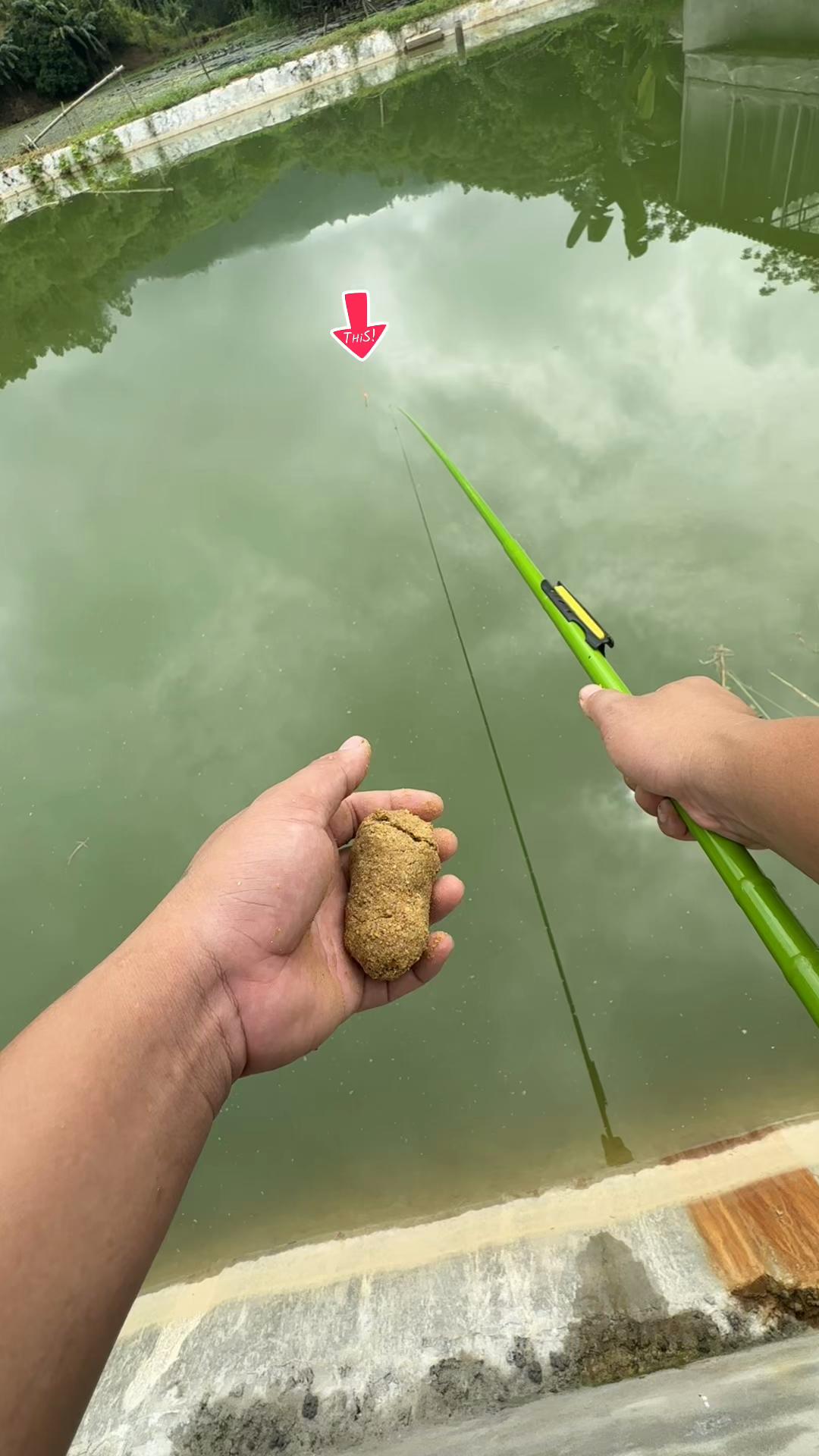@Đồ C&acirc;u Thiện Ph&uacute; Thọ